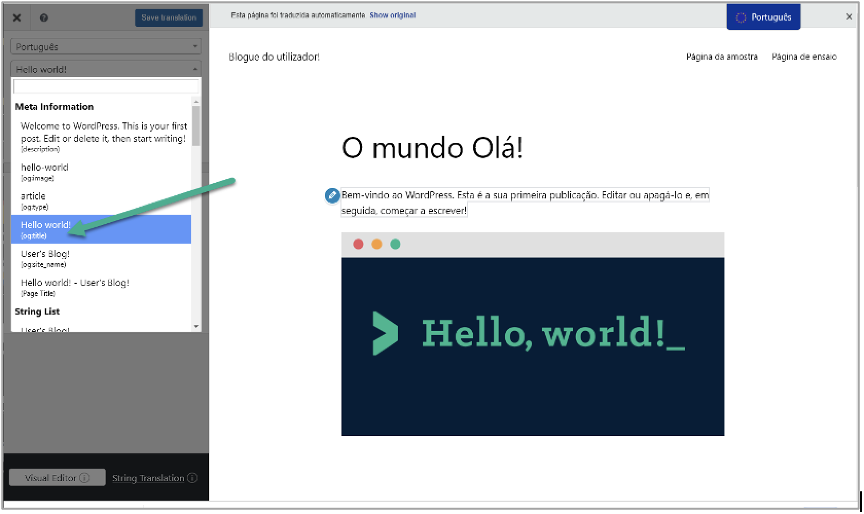 wordpress-9